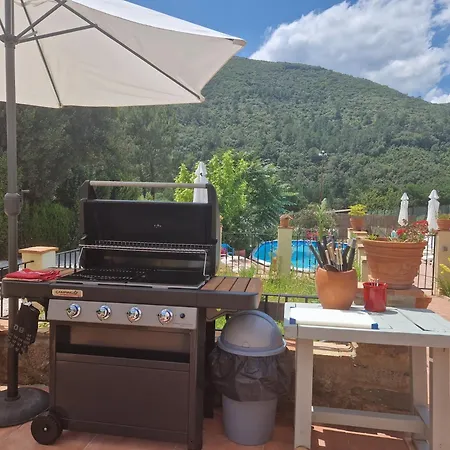 Joyeux - L'orchidee En Cevennes