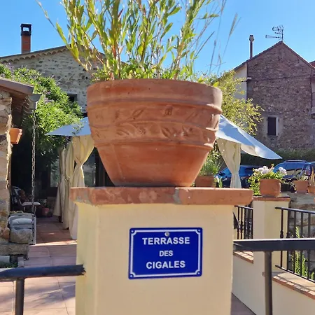 Joyeux - L'orchidee En Cevennes *