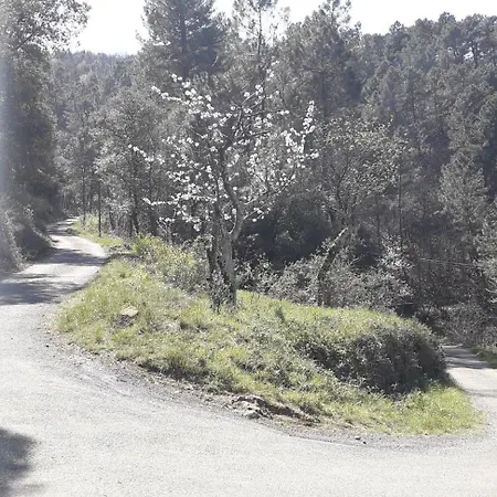 בית נופש Joyeux - L'orchidee En Cevennes Saint-Florent-sur-Auzonnet