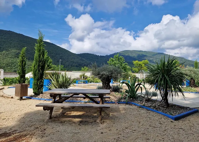 Joyeux - L'orchidee En Cevennes *